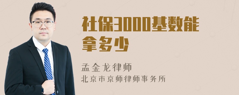 社保3000基数能拿多少