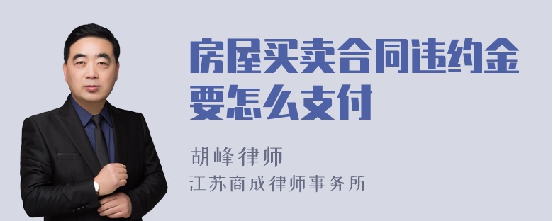 房屋买卖合同违约金要怎么支付