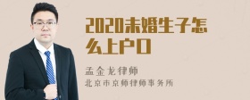 2020未婚生子怎么上户口