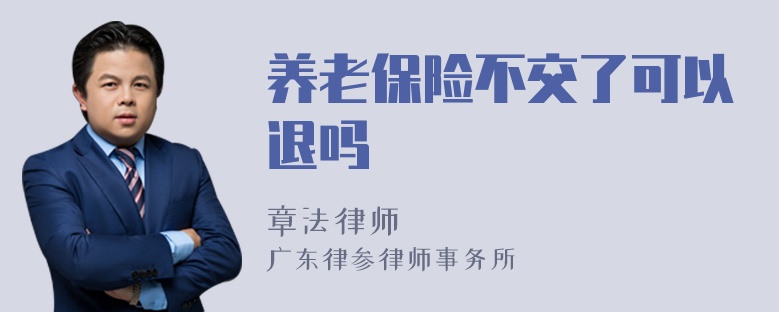 养老保险不交了可以退吗