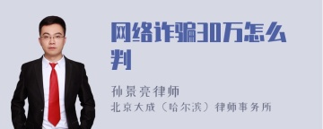 网络诈骗30万怎么判