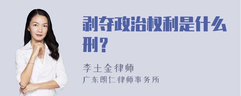 剥夺政治权利是什么刑？