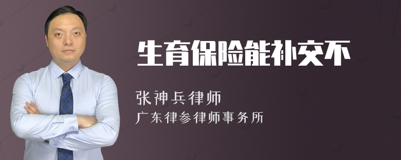 生育保险能补交不