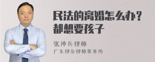 民法的离婚怎么办？都想要孩子