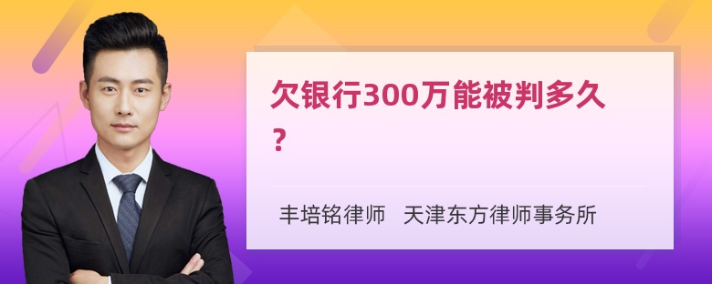 欠银行300万能被判多久？