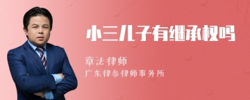 小三儿子有继承权吗