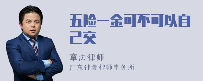 五险一金可不可以自己交