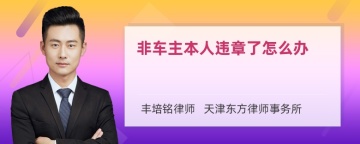 非车主本人违章了怎么办