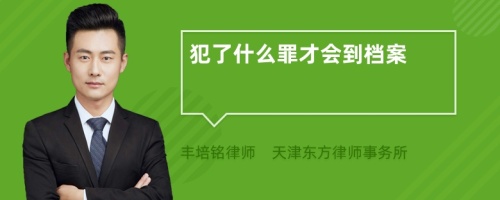 犯了什么罪才会到档案