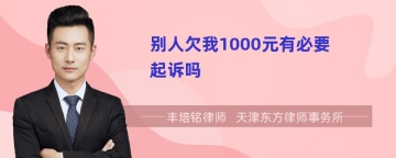 别人欠我1000元有必要起诉吗