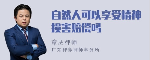 自然人可以享受精神损害赔偿吗