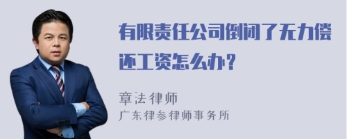 有限责任公司倒闭了无力偿还工资怎么办？