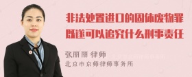 非法处置进口的固体废物罪既遂可以追究什么刑事责任