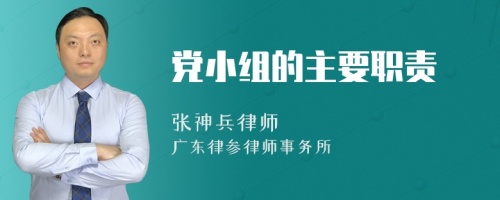 党小组的主要职责