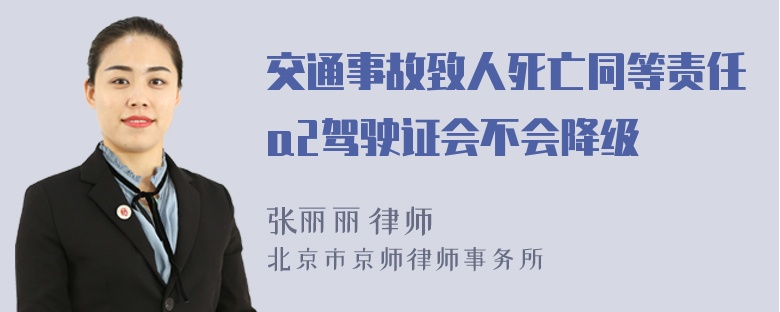 交通事故致人死亡同等责任a2驾驶证会不会降级