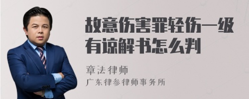 故意伤害罪轻伤一级有谅解书怎么判