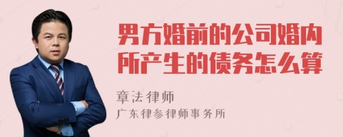 男方婚前的公司婚内所产生的债务怎么算