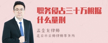 职务侵占三十万根据什么量刑