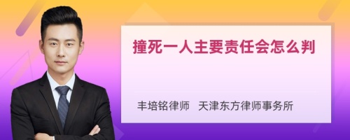 撞死一人主要责任会怎么判