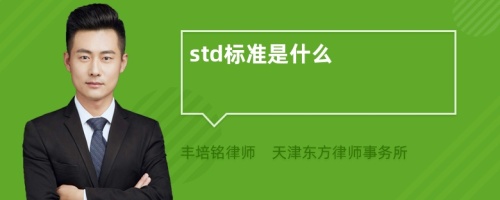 std标准是什么