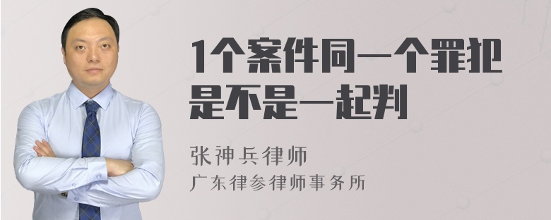 1个案件同一个罪犯是不是一起判