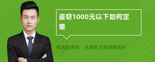 盗窃1000元以下如何定罪