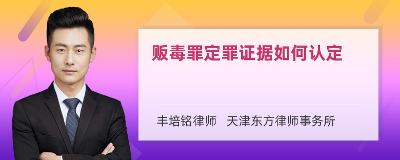 贩毒罪定罪证据如何认定