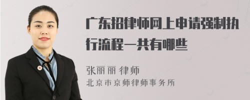 广东招律师网上申请强制执行流程一共有哪些