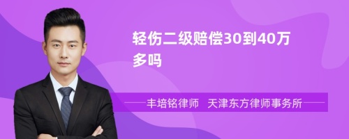 轻伤二级赔偿30到40万多吗