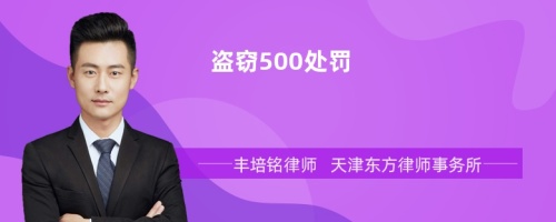 盗窃500处罚