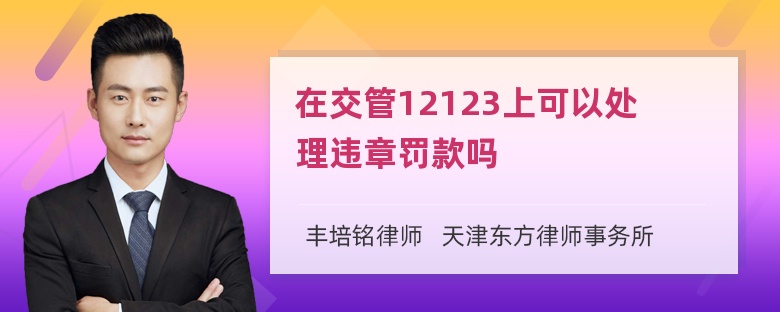 在交管12123上可以处理违章罚款吗