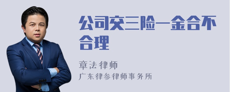 公司交三险一金合不合理