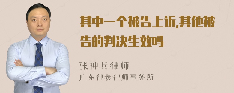 其中一个被告上诉,其他被告的判决生效吗