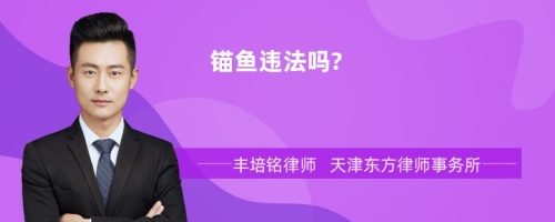 锚鱼违法吗?