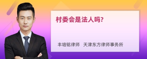 村委会是法人吗?