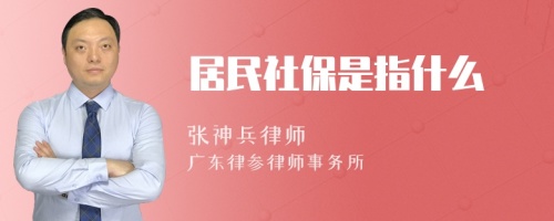 居民社保是指什么