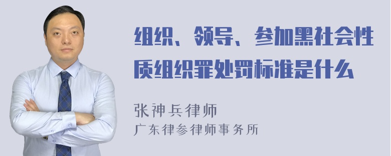 组织、领导、参加黑社会性质组织罪处罚标准是什么