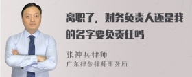 离职了，财务负责人还是我的名字要负责任吗