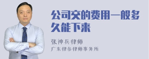 公司交的费用一般多久能下来