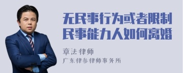 无民事行为或者限制民事能力人如何离婚