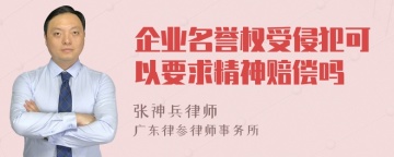 企业名誉权受侵犯可以要求精神赔偿吗