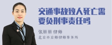 交通事故致人死亡需要负刑事责任吗