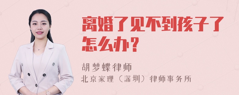 离婚了见不到孩子了怎么办？