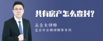共有房产怎么查封？