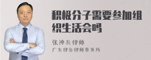 积极分子需要参加组织生活会吗