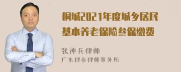 桐城2021年度城乡居民基本养老保险参保缴费