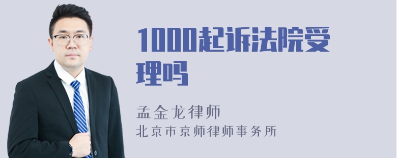 1000起诉法院受理吗