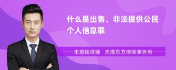 什么是出售、非法提供公民个人信息罪