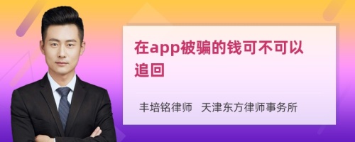 在app被骗的钱可不可以追回