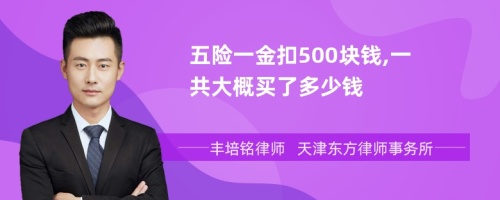 五险一金扣500块钱,一共大概买了多少钱